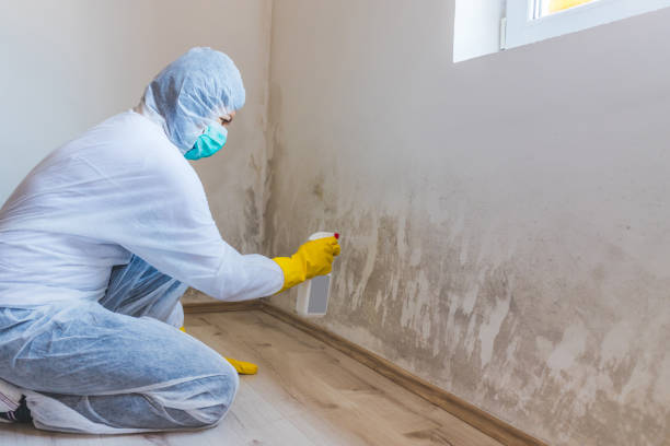 Mold inspector in Modena performing thermal imaging